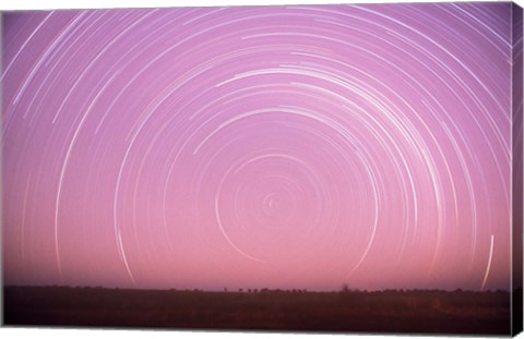 Framed Africa, Botswana, Linyanti Swamps. Star trails Print