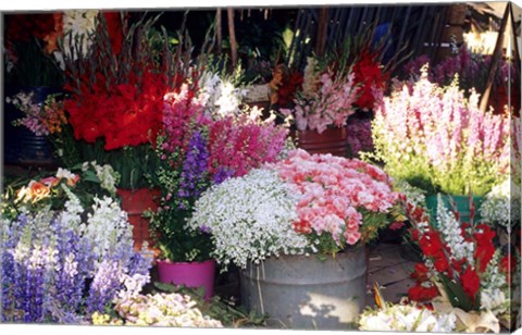 Framed Bunch of Flowers at the Market, Madagascar Print