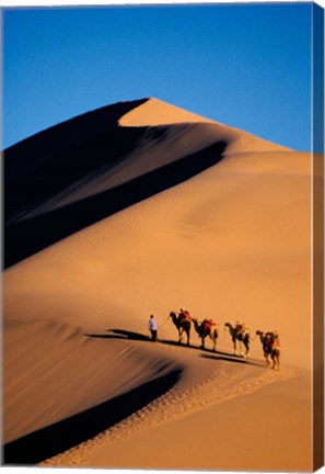 Framed Camel Caravan with Sand Dune, Silk Road, China Print