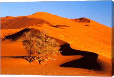 Framed Elim Dune Overcomes, Sesriem, Namib Naukluft Park, Namibia Print