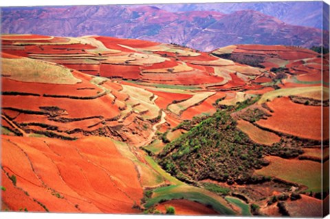 Framed China, Yunnan, Tilled Red Laterite, Agriculture Print