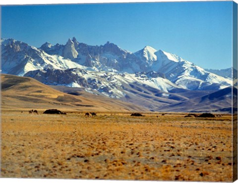 Framed Afghanistan, Bamian Valley, Mountains, Kuchi camp Print