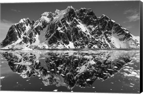 Framed Antarctica, Mountain peaks reflected in the Lemaire Channel. Print