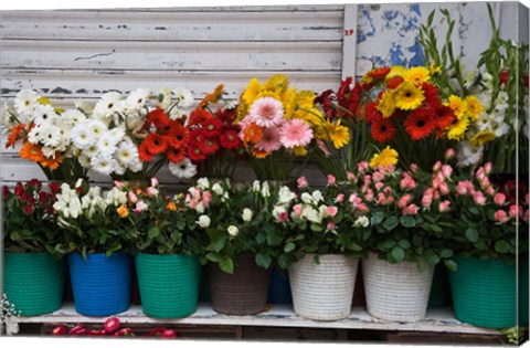 Framed Flower Market, Port Louis, Mauritius Print