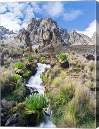 Framed Central Mount Kenya National Park, Kenya Print