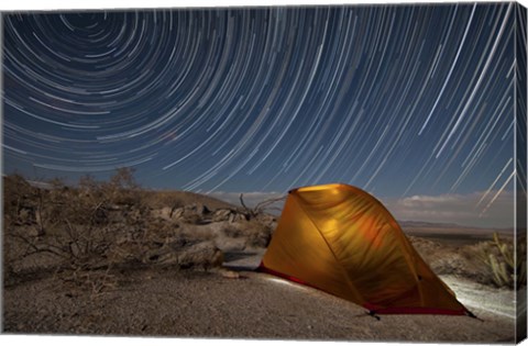 Framed Star trails above a campsite in Anza Borrego Desert State Park, California Print