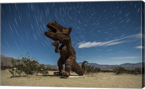 Framed Tyrannosaurus rex sculpture against a backdrop of star trails, California Print