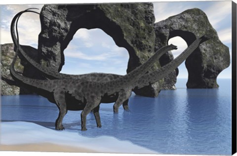 Framed Diplodocus dinosaurs wade through shallow waters of a beautiful seashore Print