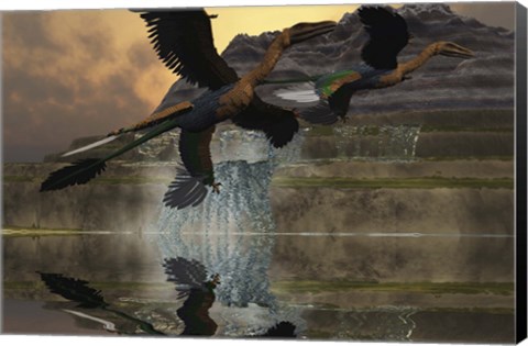 Framed Two Microraptor dinosaurs fly near mountain waterfalls in prehistoric times Print