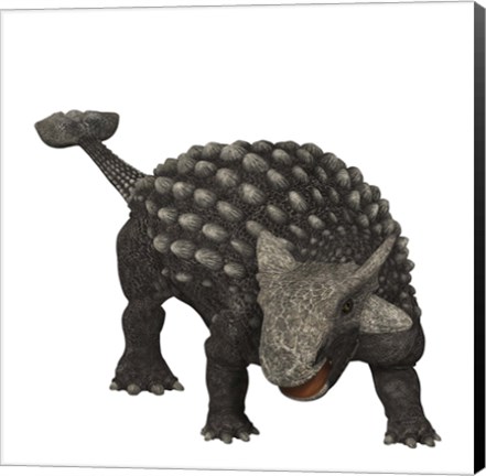 Framed Ankylosaurus was an armored dinosaur from the Creataceous Period Print