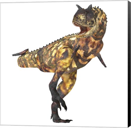 Framed Angry Carnotaurus dinosaur Print