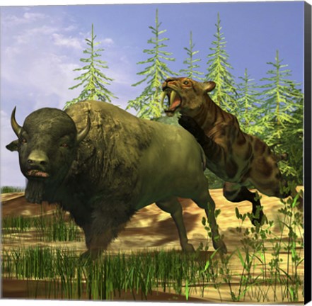 Framed Saber-Tooth cat pounces onto a frightened Buffalo Print