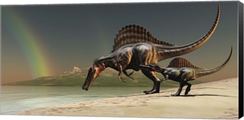Framed mother Spinosaurus brings her offspring to a lake for a drink of water Print