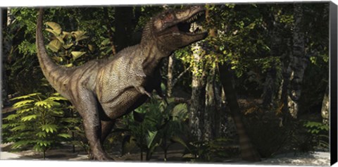 Framed mighty Tyrannosaurus Rex hunts for prey in a dense jungle Print