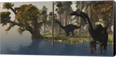 Framed Two Apatosaurus dinosaurs visit an island in prehistoric times Print