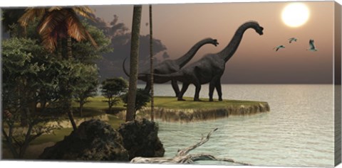 Framed Two Brachiosaurus dinosaurs enjoy a beautiful sunset Print