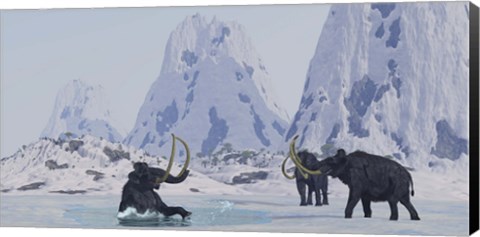 Framed Woolly Mammoth struggles for survival as he falls through ice on a frozen lake Print