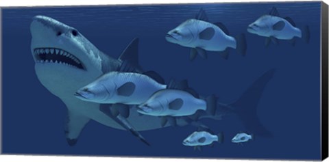 Framed school of fish encounter a monstrous Megalodon shark Print