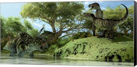 Framed Confrontation between two Tyrannosaurus Rex and a Coahuilaceratops Print