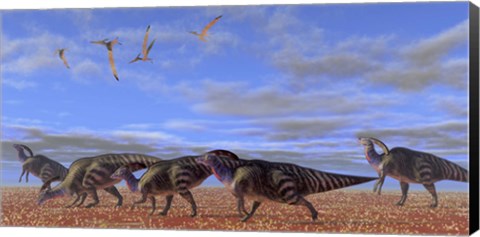 Framed herd of Parasaurolophus dinosaurs Print