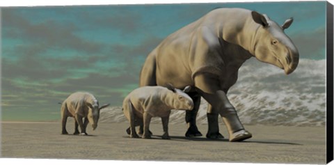 Framed Paraceratherium mother with two twin calves walks along a desert Print