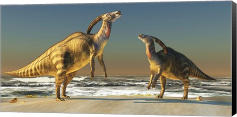Framed Two Parasaurolophus dinosaurs bellow at each other Print