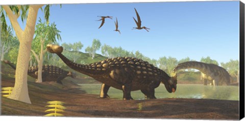 Framed Ankylosaurus dinosaurs drink from a swamp along with an Argentinosaurus Print