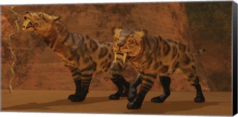 Framed Two Smilodon cats find protection in a vast cave system Print