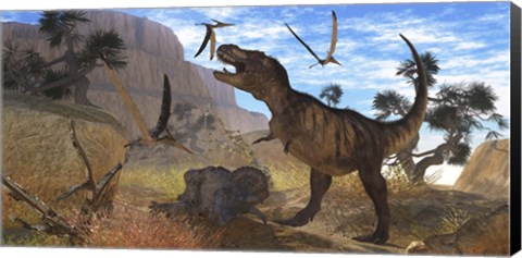 Framed Tyrannosaurus Rex attempts to eat his Triceratops kill while Pteranodons harass him Print