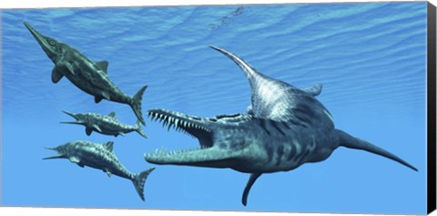 Framed Liopleurodon reptile hunting Ichthyosaurus dinosaurs in Jurassic seas Print