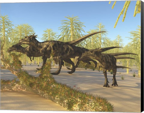 Framed herd of Dracorex dinosaurs walk through a carboniferous forest Print