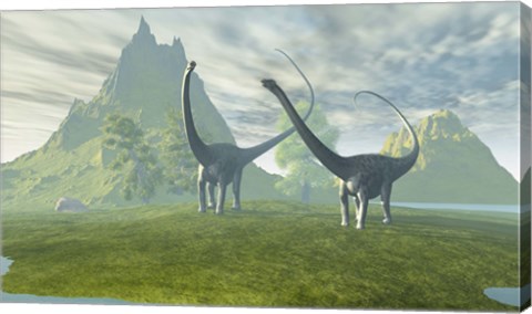 Framed Diplodocus dinosaurs walk together in the afternoon in the prehistoric age Print