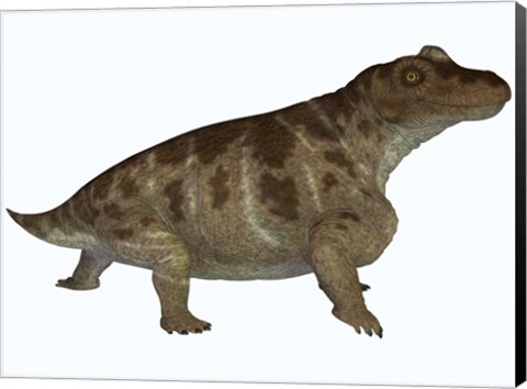 Framed Keratocephalus, a semi-aquatic dinosaur from the Permian Age Print