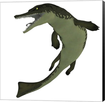 Framed Metriorhynchus, an extinct genus of crocodyliform from the Jurassic Period Print