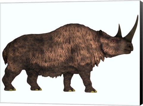 Framed Woolly Rhinoceros, an extinct mammal from the Pleistocene Period Print