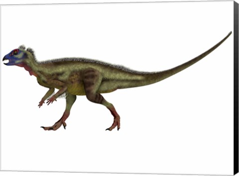 Framed Hypsilophodon is an ornithopod dinosaur from the Cretaceous Period Print