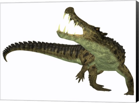 Framed Kaprosuchus is an extinct genus of crocodile Print