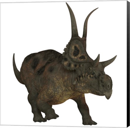 Framed Diabloceratops, a herbivorous dinosaur from the Cretaceous Period Print