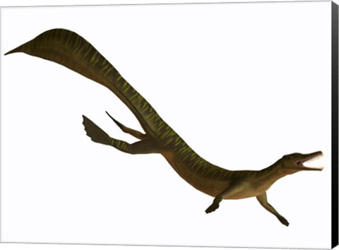 Framed Mesosaurus, an aquatic reptile from the Early Permian period Print