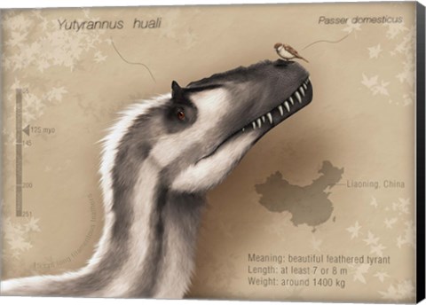 Framed Yutyrannus huali is a feathered tyrannosauroid from the Early Cretacous of China Print