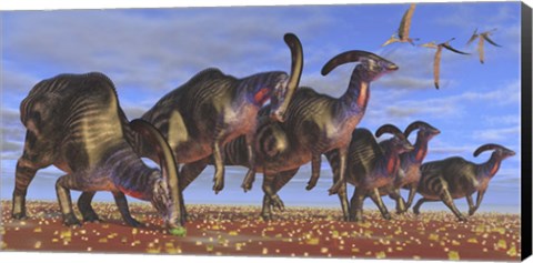 Framed herd of Parasaurolophus dinosaurs searching for vegetation Print