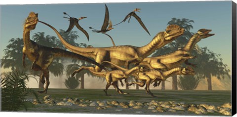 Framed pack of Dilophosaurus dinosaurs hunting for prey Print