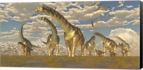 Framed Hypsilophodon and pteranodon dinosaurs accompany a herd of Argentinosaurus Print
