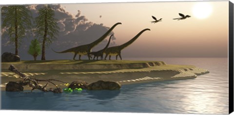 Framed Mamenchisaurus dinosaurs walk to a lake for a morning drink Print