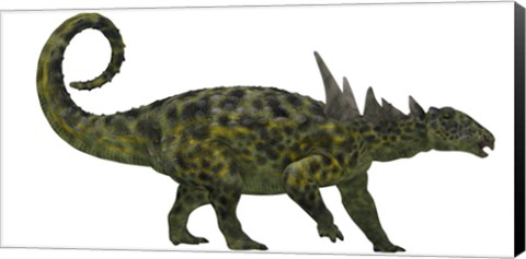 Framed Sauropelta was a heavily armored dinosaur from the Cretaceous Period Print