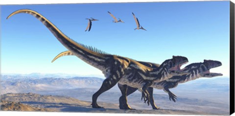 Framed Two Allosaurus dinosaurs look for prey on a high mountain Print