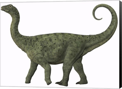 Framed juvenile Saltasaurus sauropod dinosaur of the Cretaceous Period Print