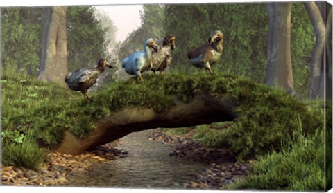 Framed group of Dodo birds crossing a natural bridge over a stream Print