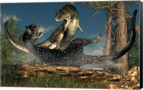 Framed couple of Carnotaurus dinosaurs fighting Print