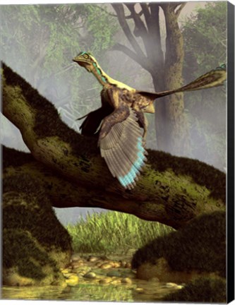 Framed Archaeopteryx on a log above a stream Print